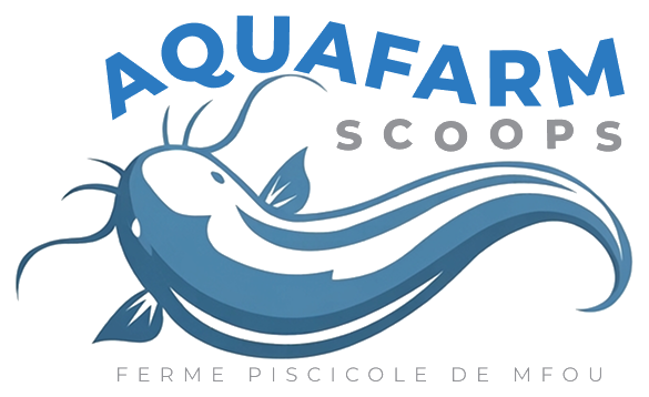 Aquafarm Cameroun