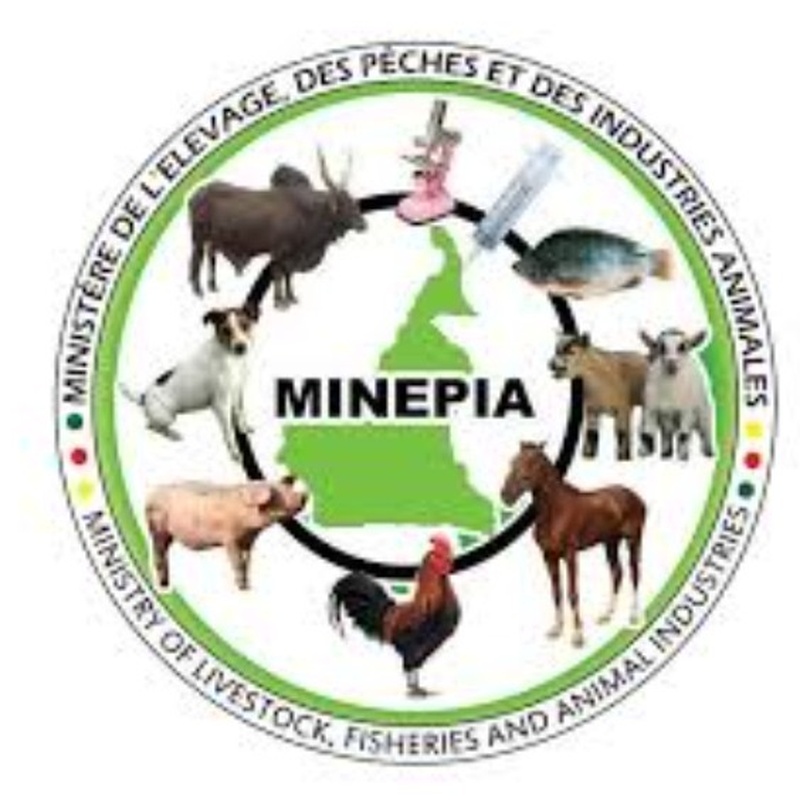 MINEPIA
